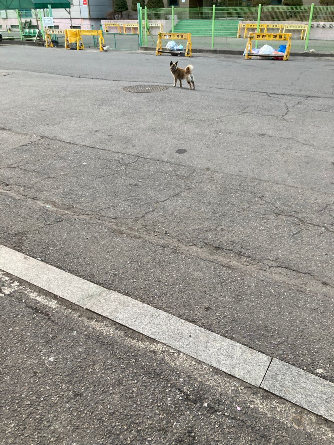 Post image 22