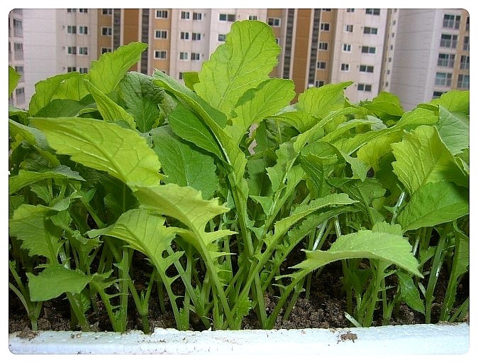 Post image 7
