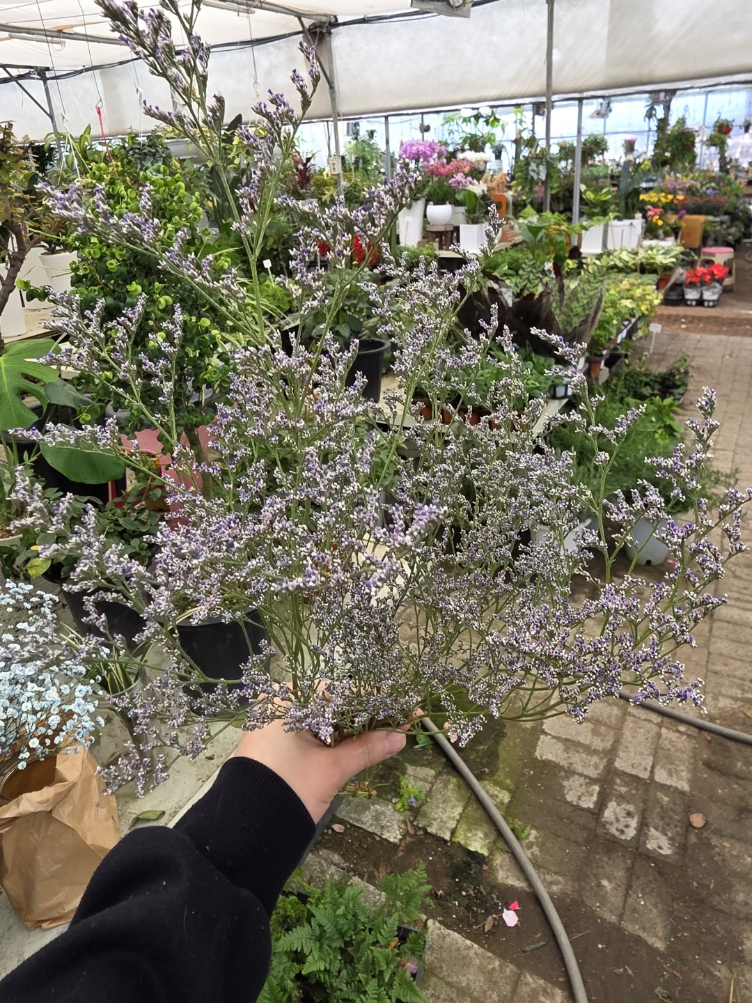 Post image 22