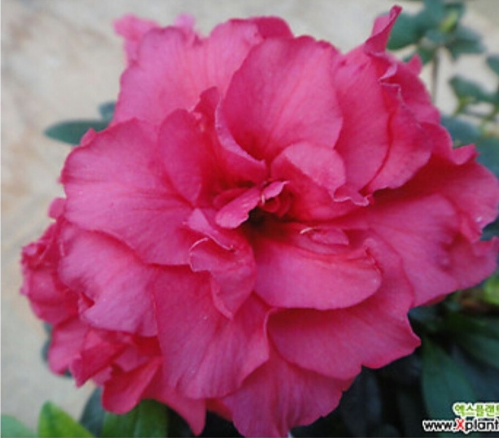 Post image 14