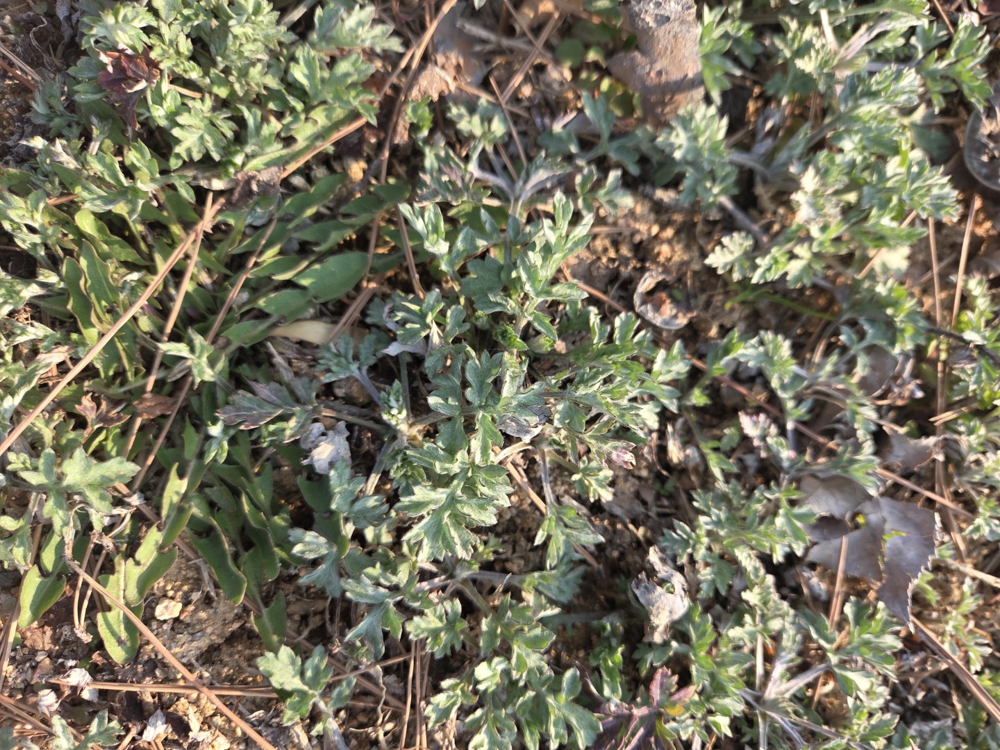 매너와인성도덕그리고건강