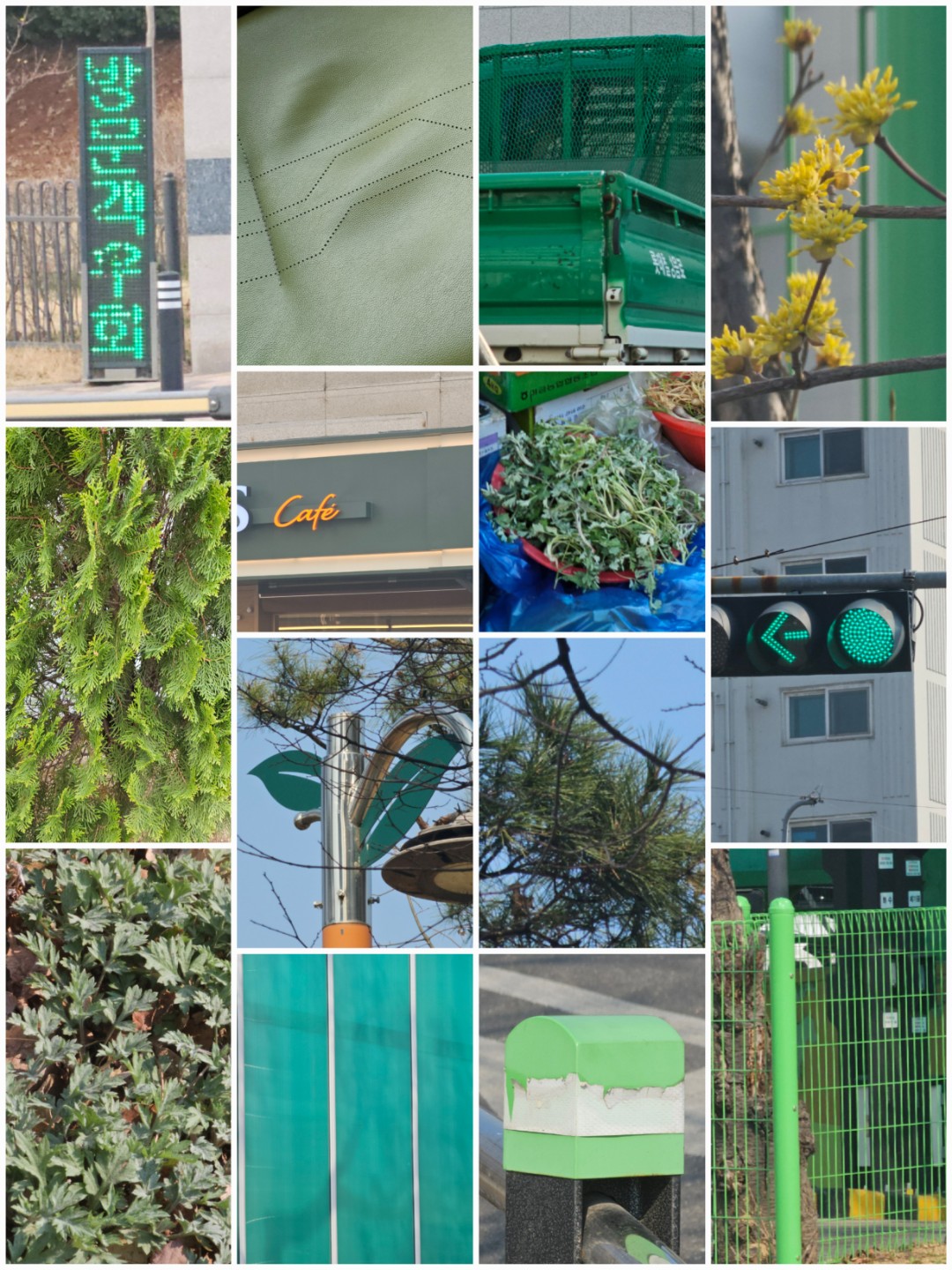 260320 오늘의 컬러🎨초록