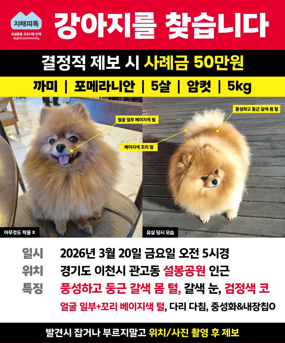Post image 20