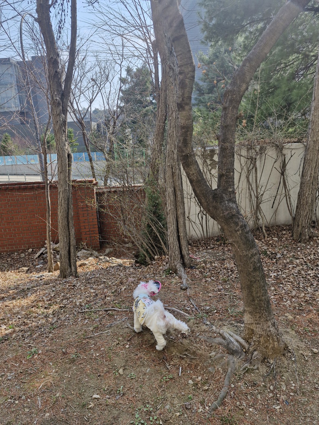 Post image 2