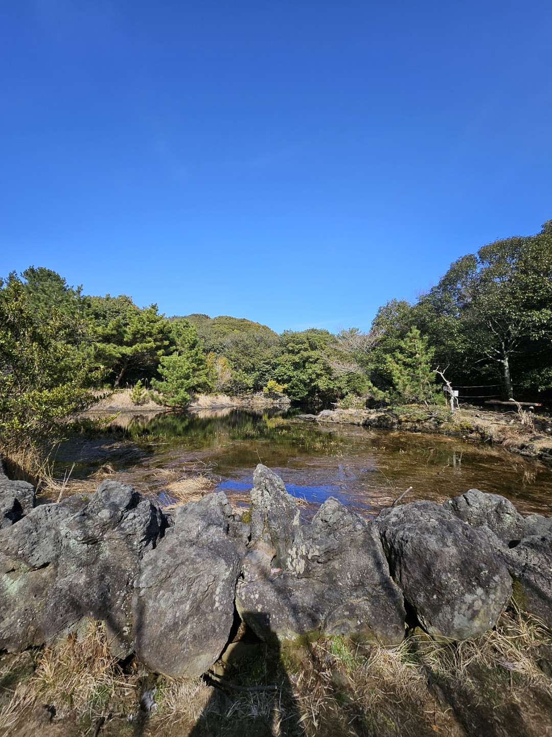 Post image 6