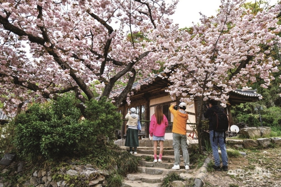 Post image 8