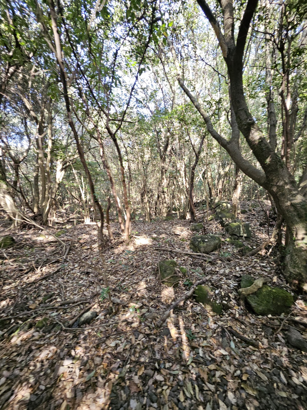 Post image 8