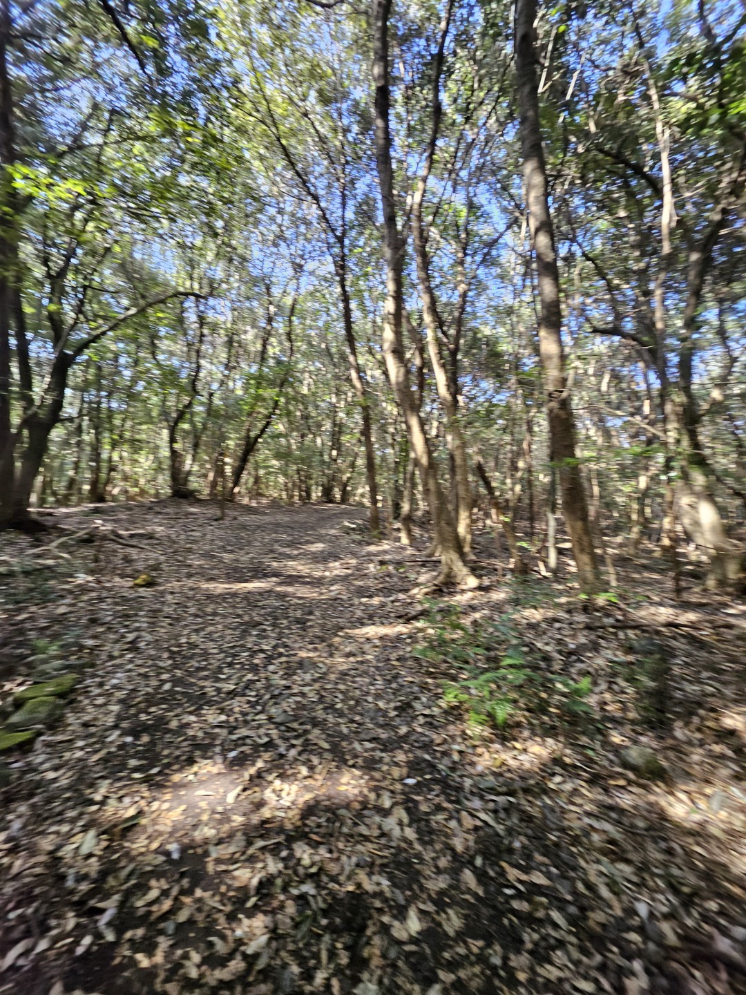 Post image 12