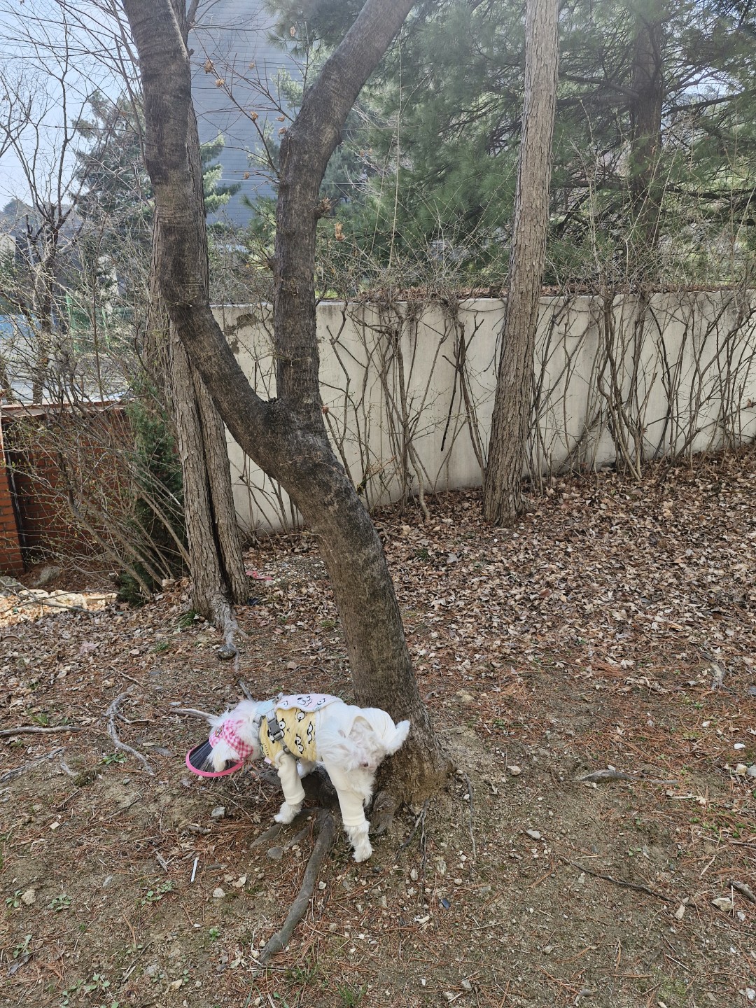 엄마랑 산책 중 ~