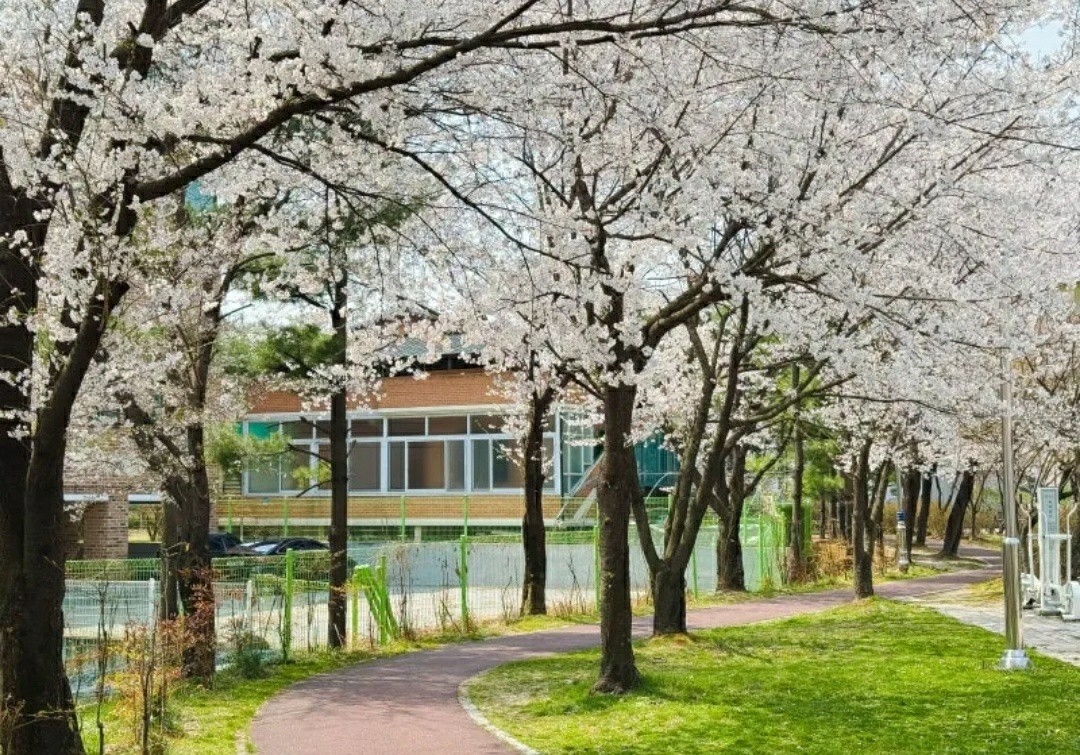 Post image 7