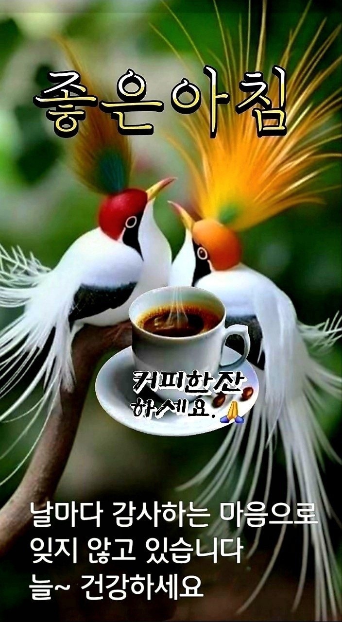 2026 3 21 토 출석부   한 잔의 커피도 우리의 인생과 같다   아무런 의미를 붙이