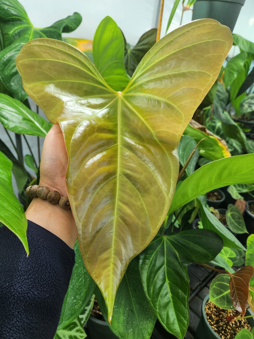 Post image 4