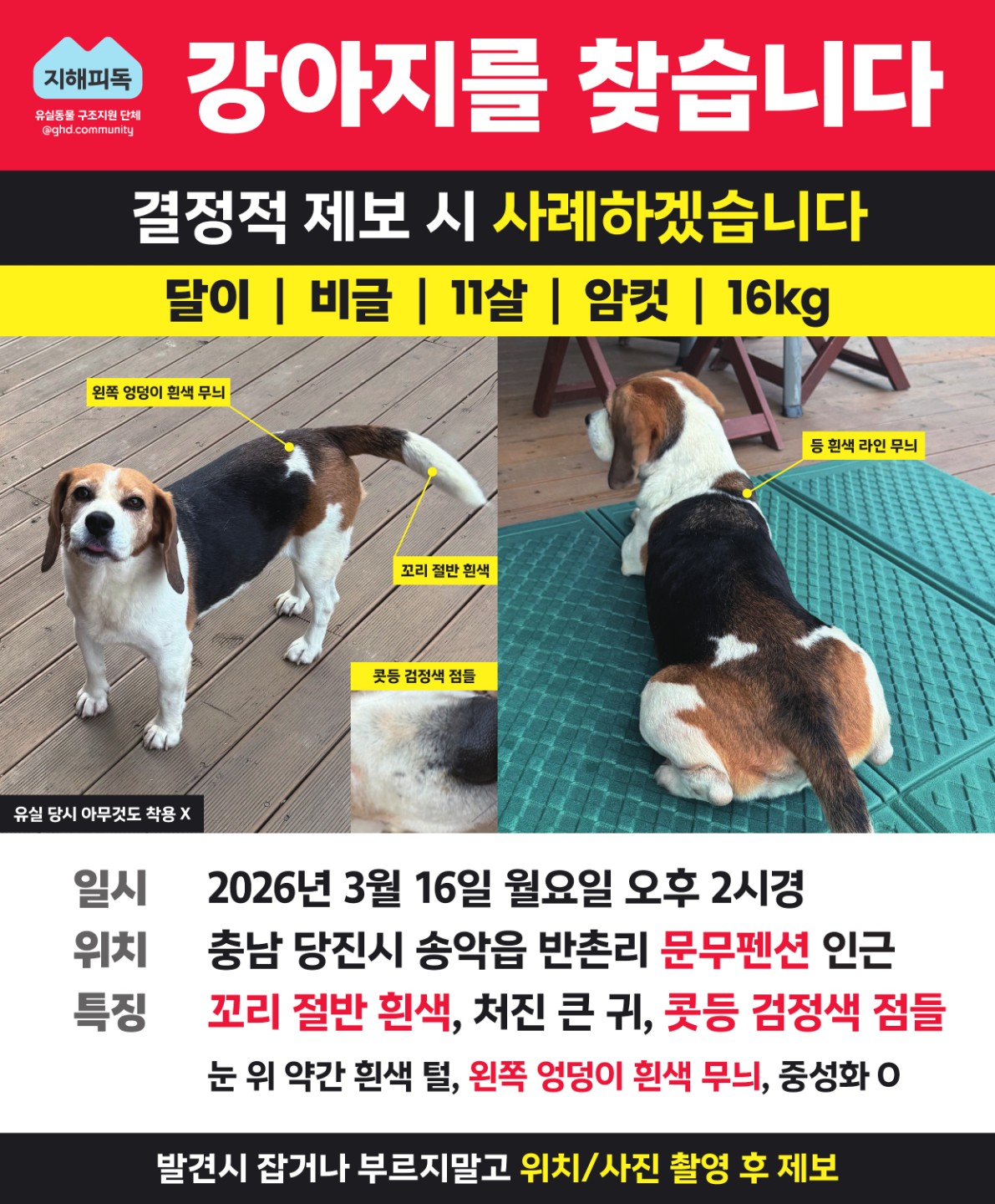Post image 11