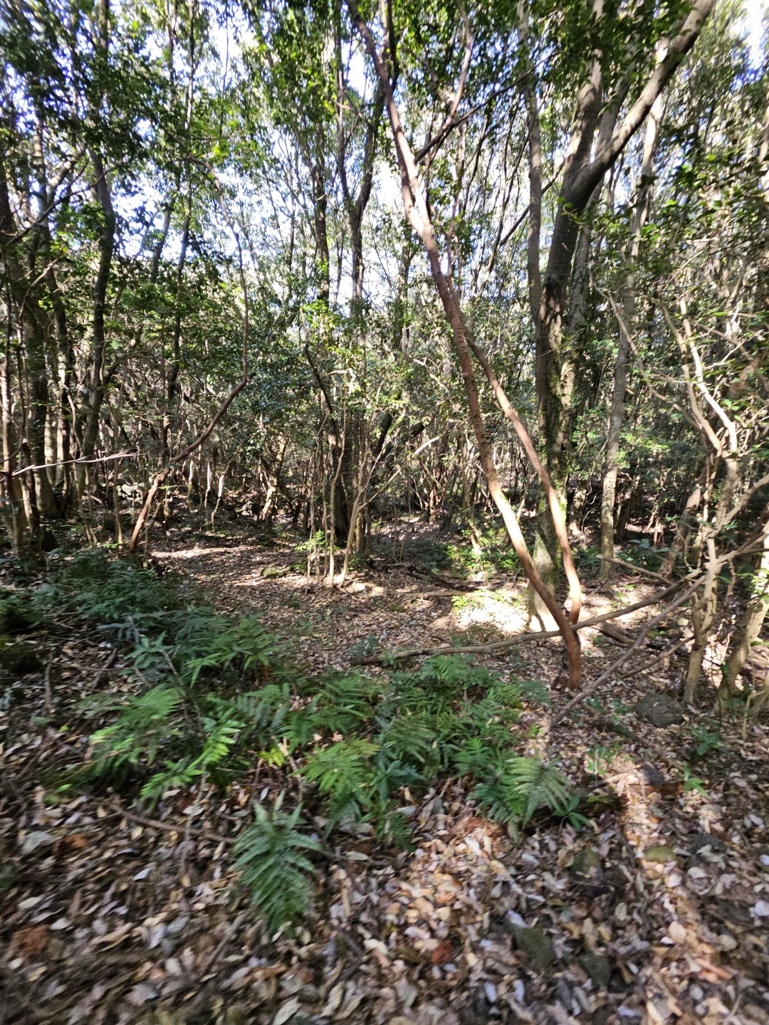 Post image 5