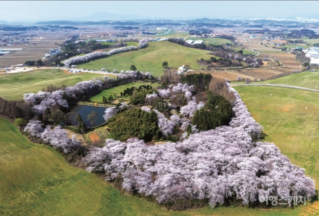Post image 25