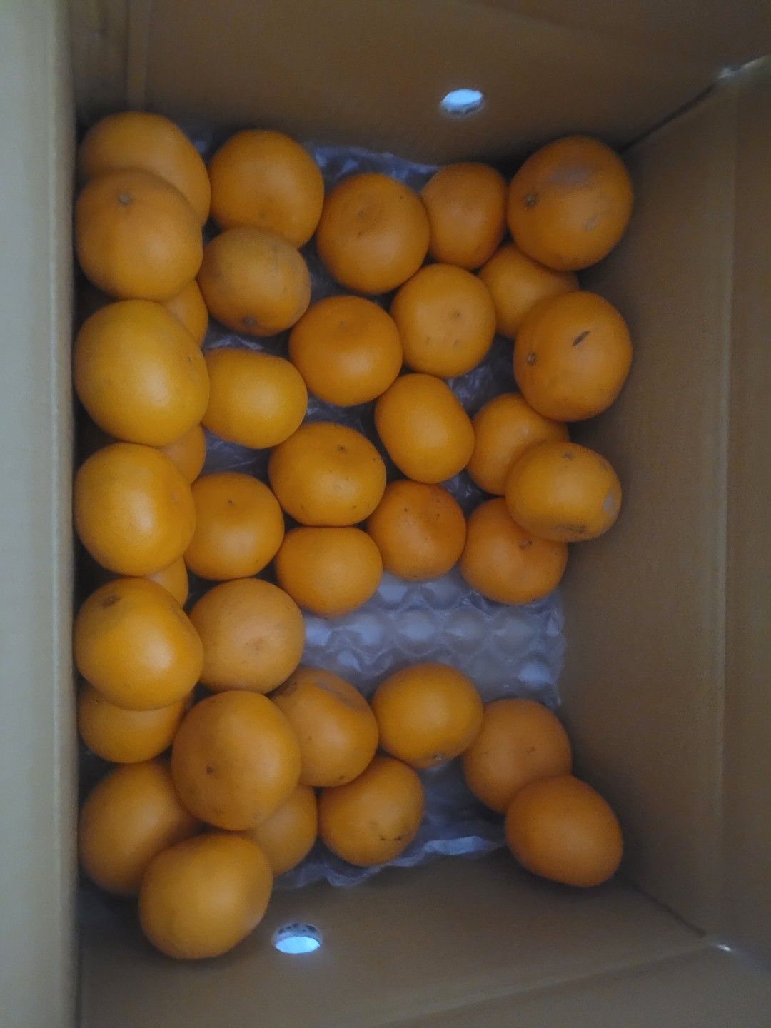 천혜향 먹고싶은데  지금 역류성식도염 생겨서