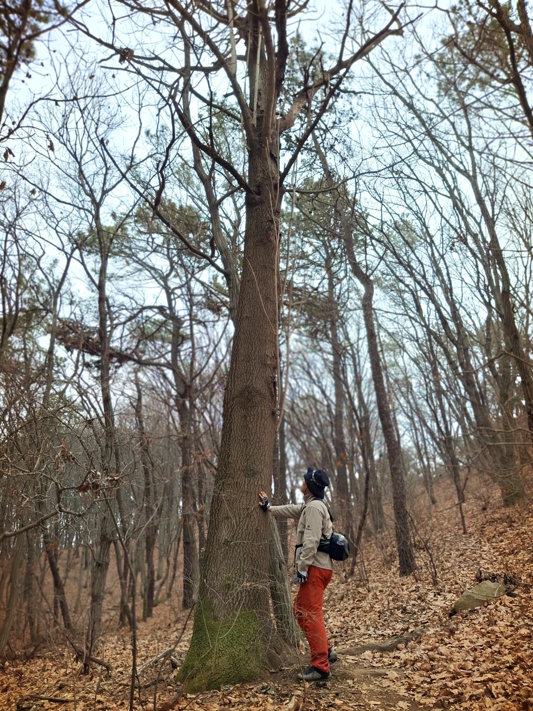 솔로 여행가입니다