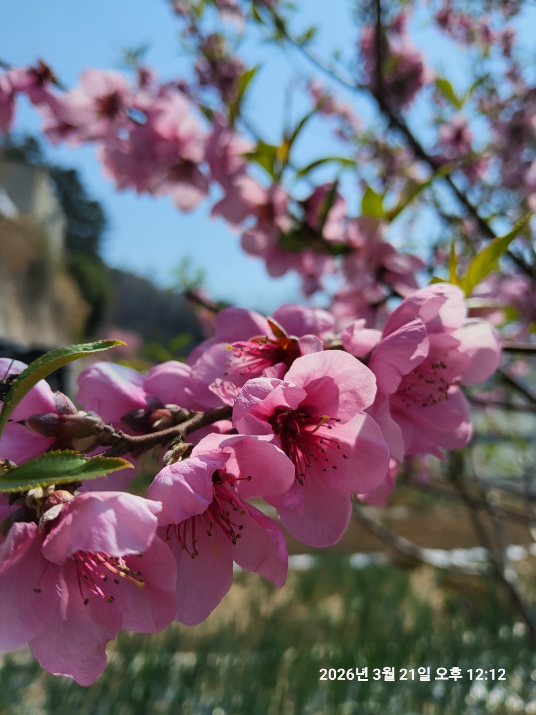 차만들기 끝냈어요. 나눔 합니다