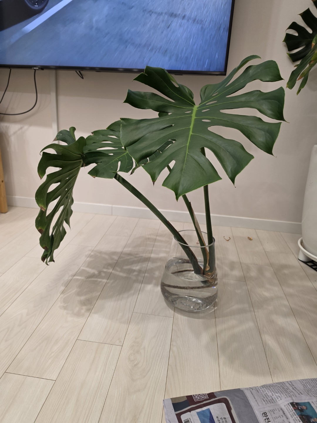 Post image 5