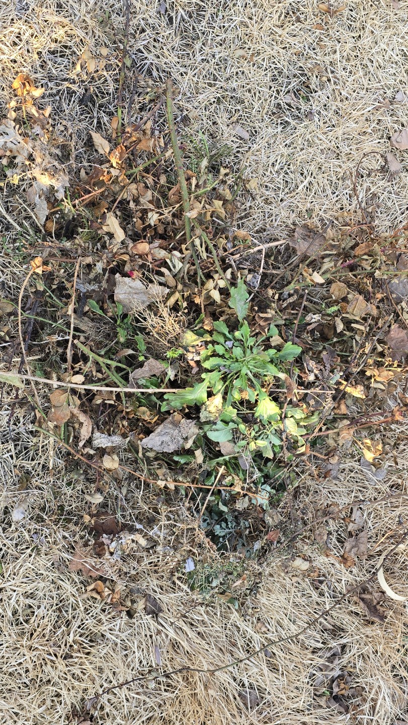Post image 4