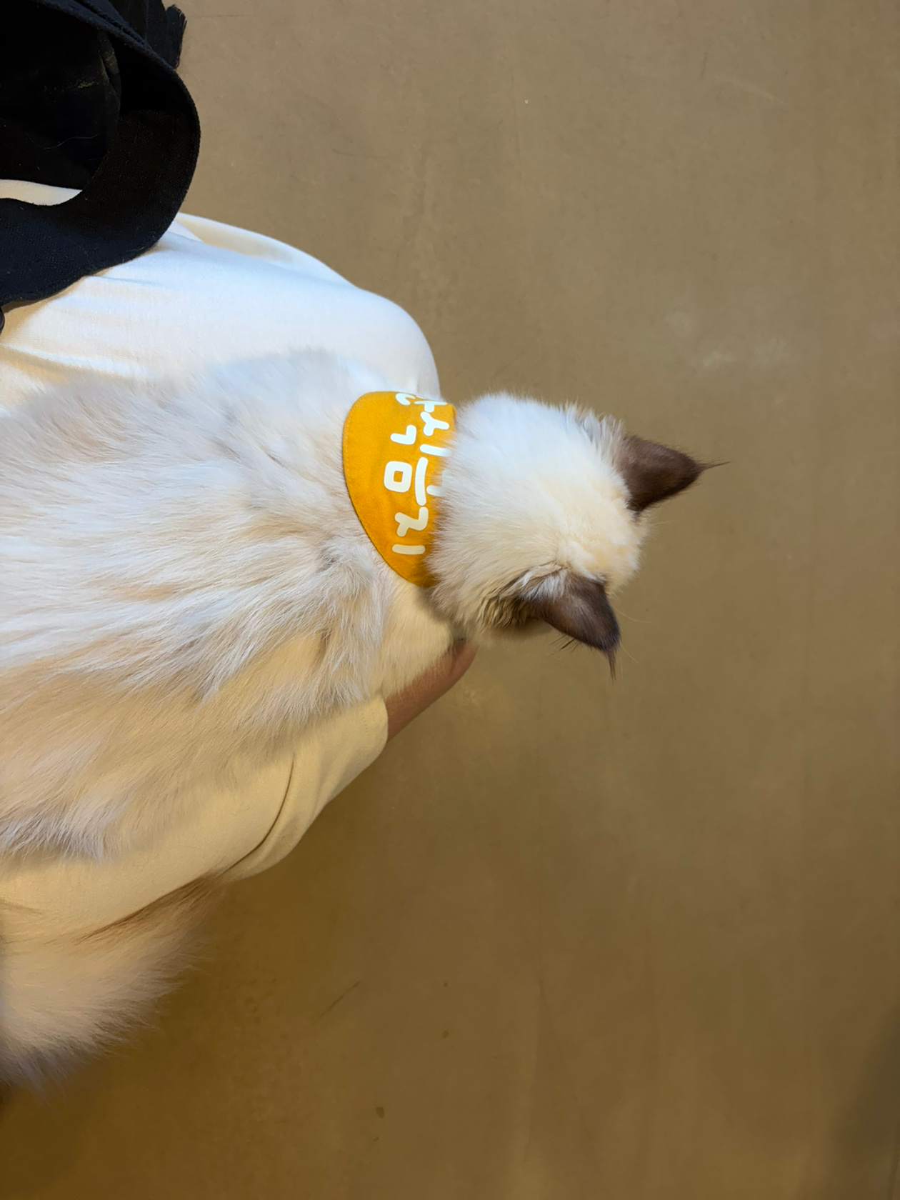 홍대 스튜디오 다녀오면 왜 체력 갈린다는지 알겠어요… 아기랑 외출 현실ㅋㅋ