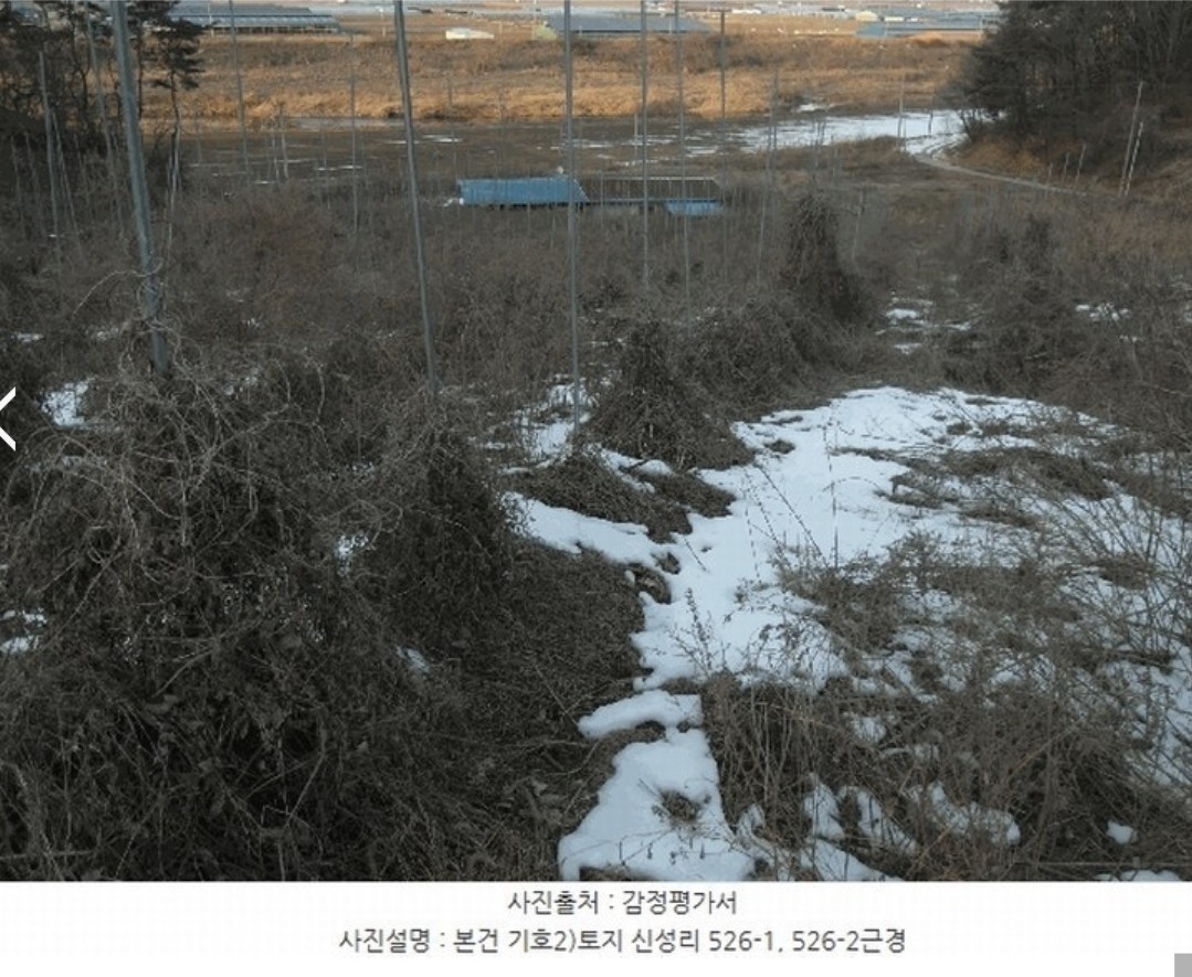 Post image 3
