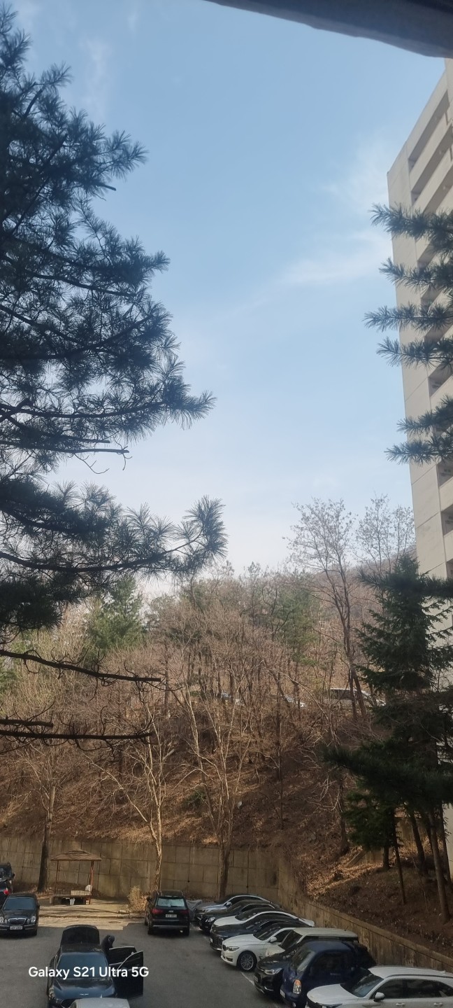 3월 22일 오전 11시 은행주공apt