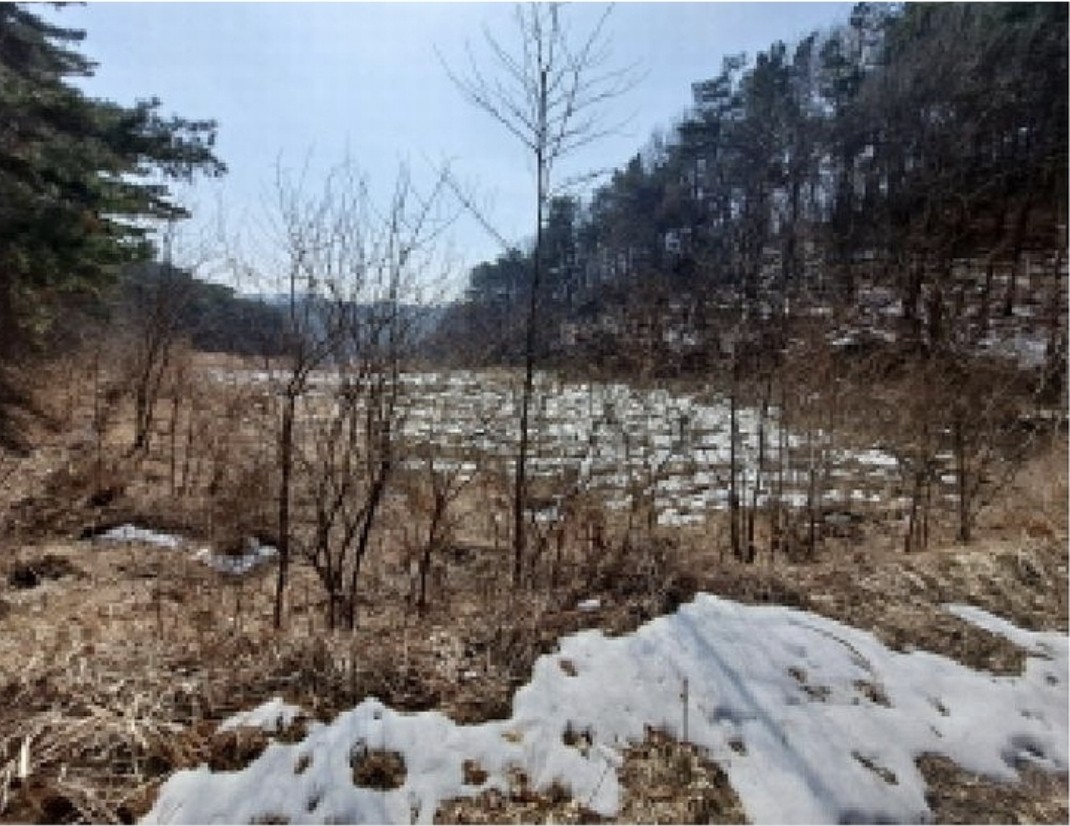 Post image 7