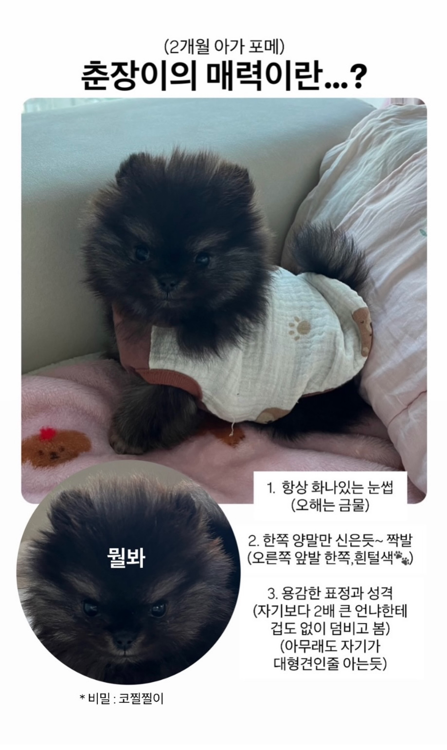 춘장이를 소개합니다 🐶💕