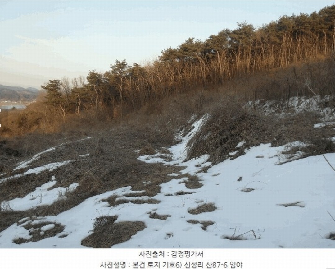 Post image 6