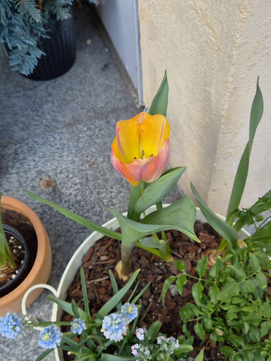 Post image 2