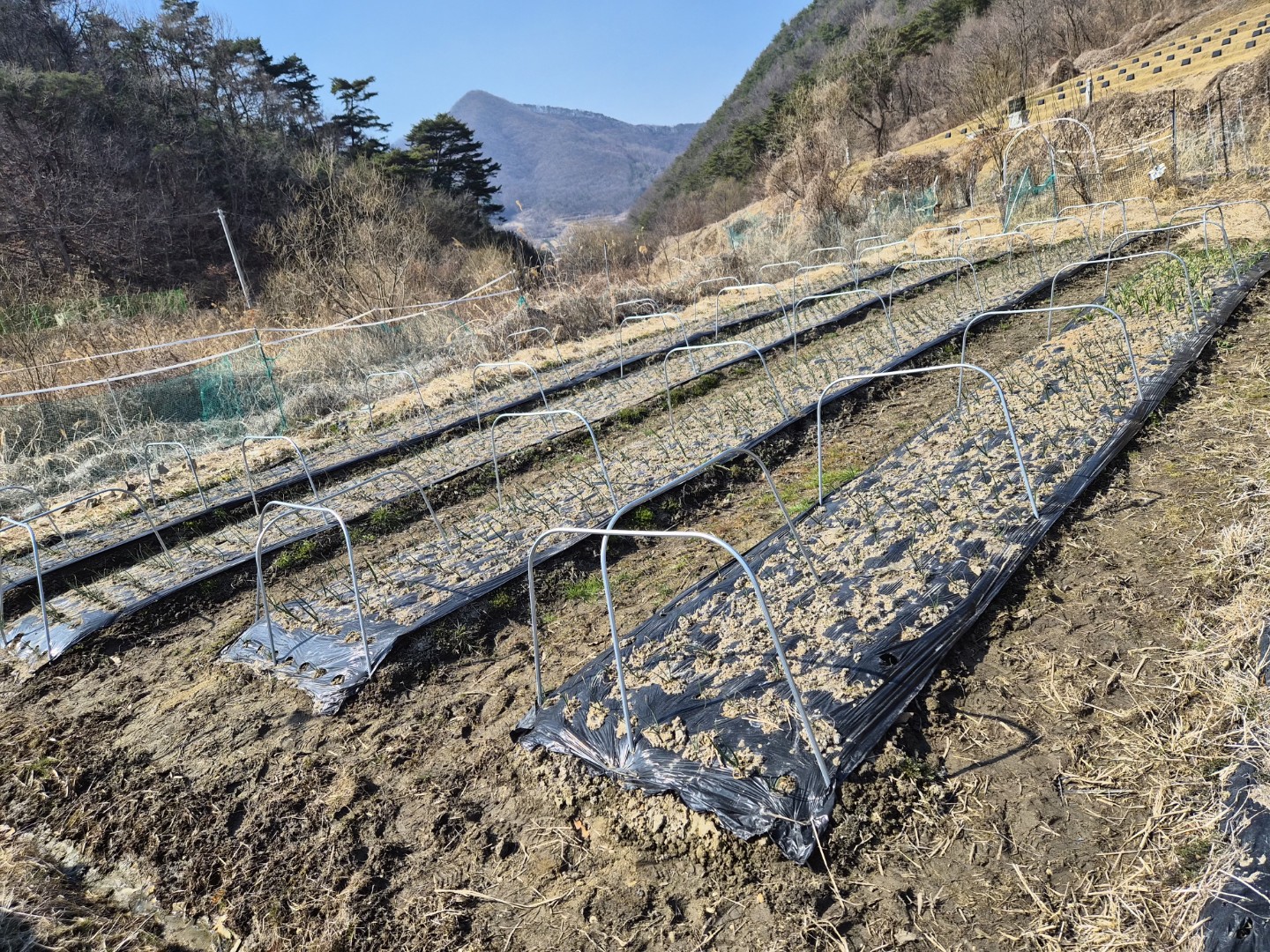 주말엔 뭐하고 보내셨어요?😊