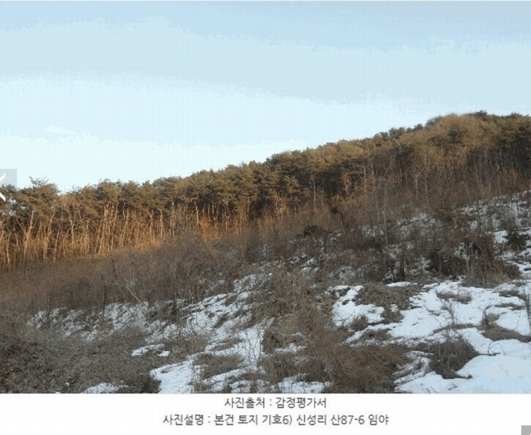 Post image 5