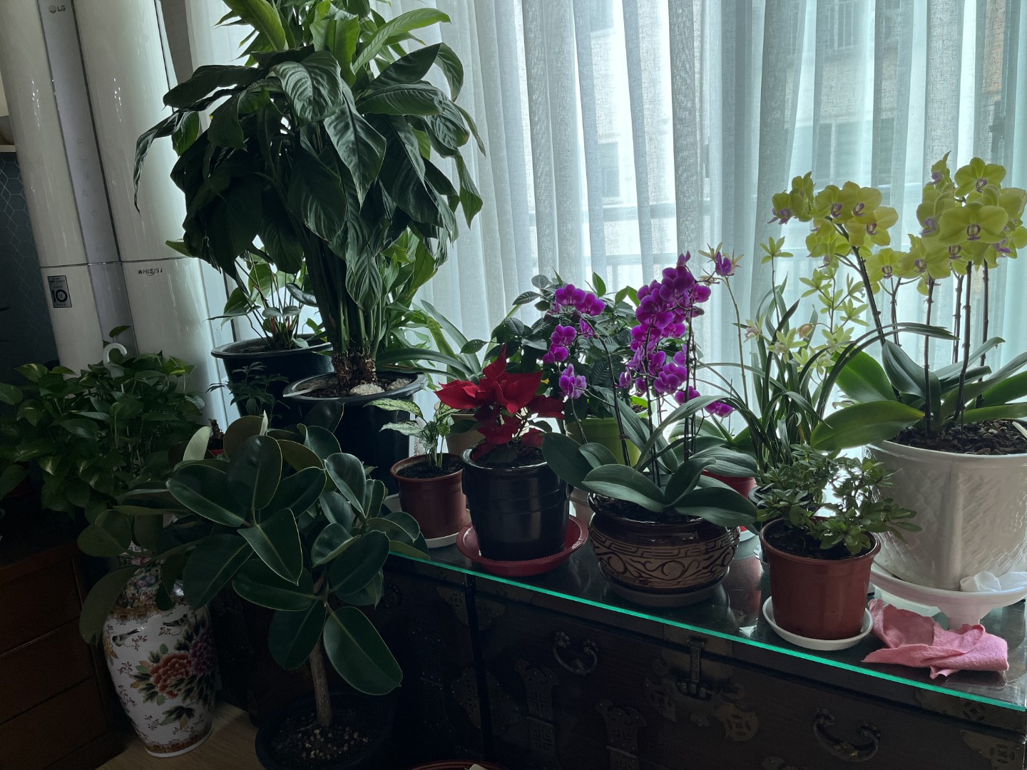 80대 멋쟁이 아부지의 취미생활