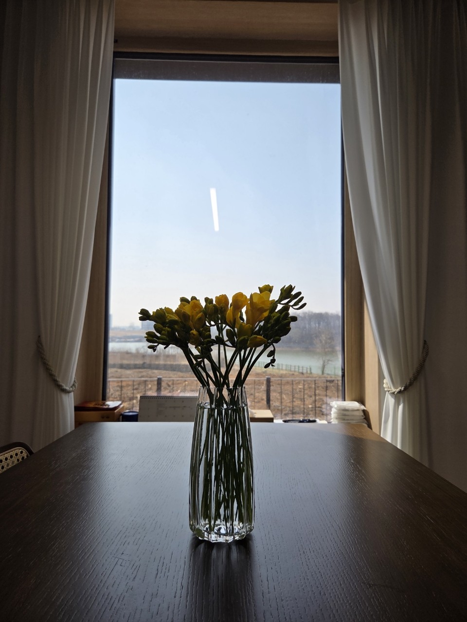 향수보다 찐 프리지아