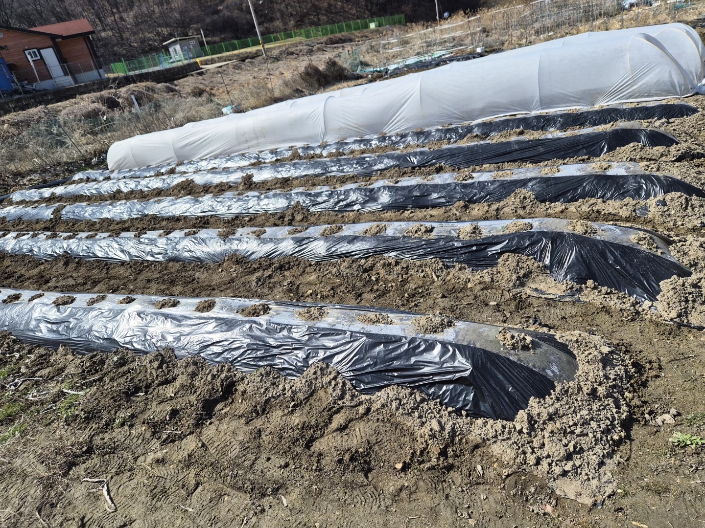 주말엔 뭐하고 보내셨어요?😊