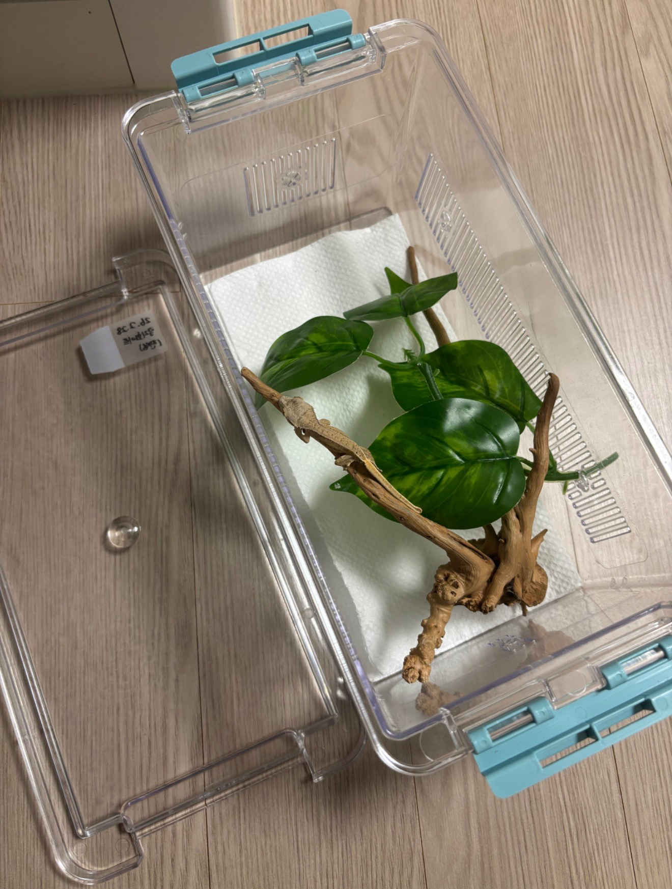 크래가 생각보다 많이 온순했어요