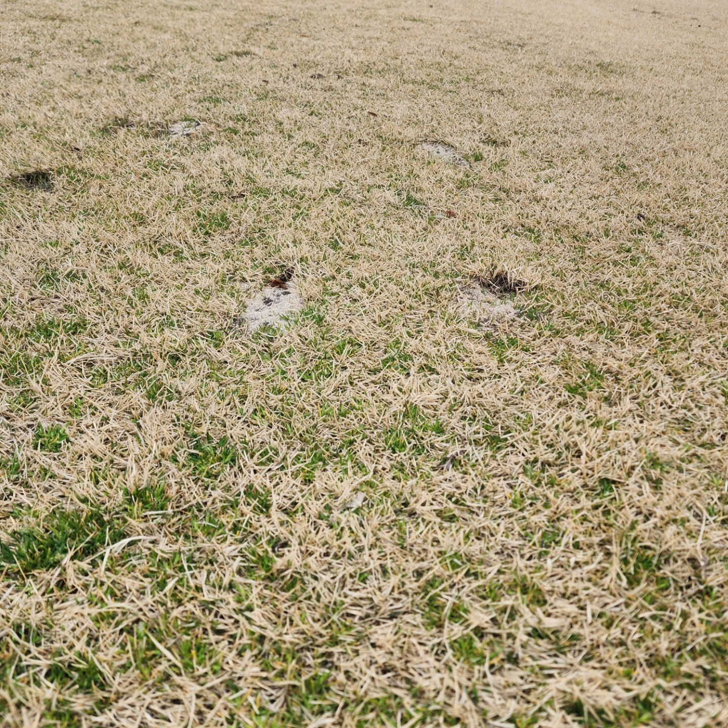Post image 7