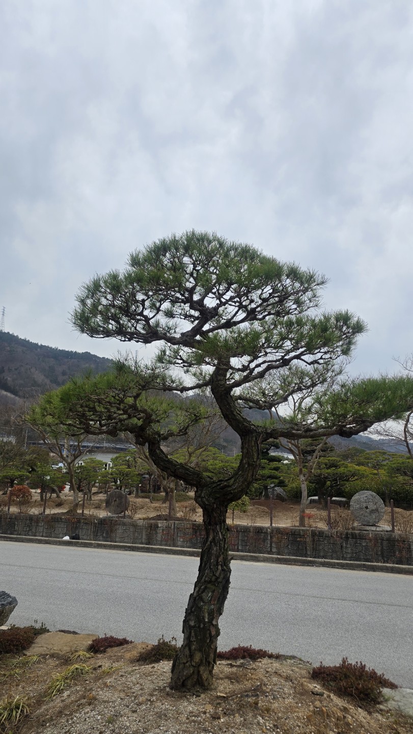 Post image 6