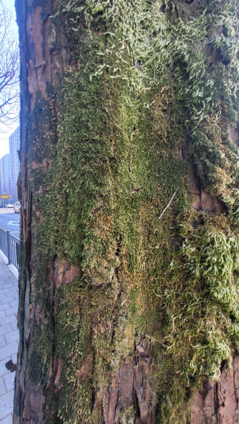 Post image 7