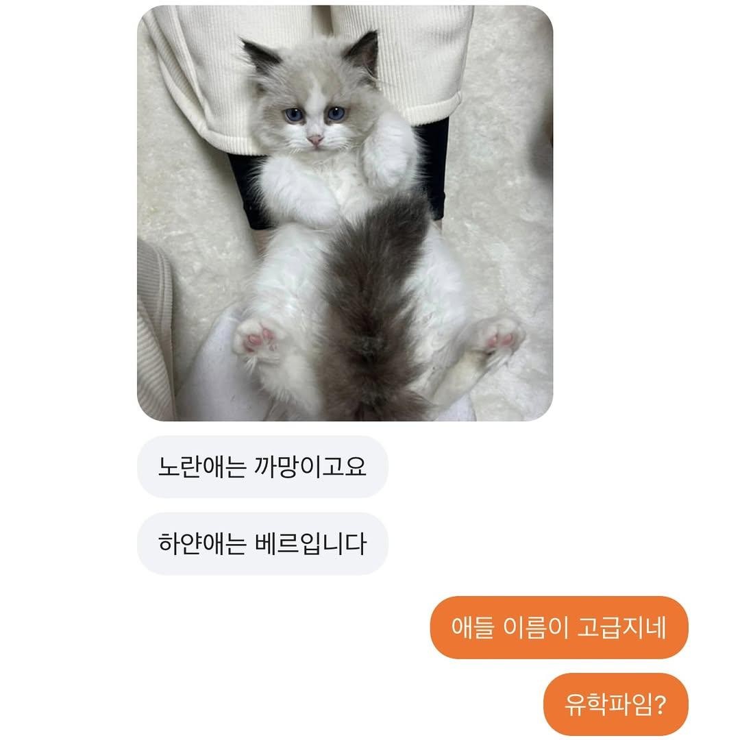 Post image 5