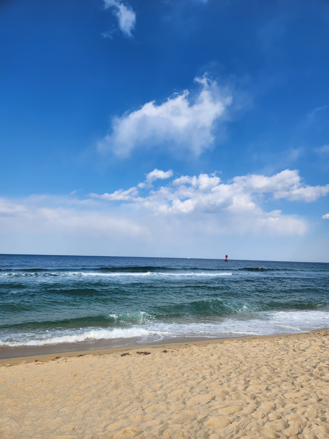 돌싱 예요 외롭고 쓸쓸해요