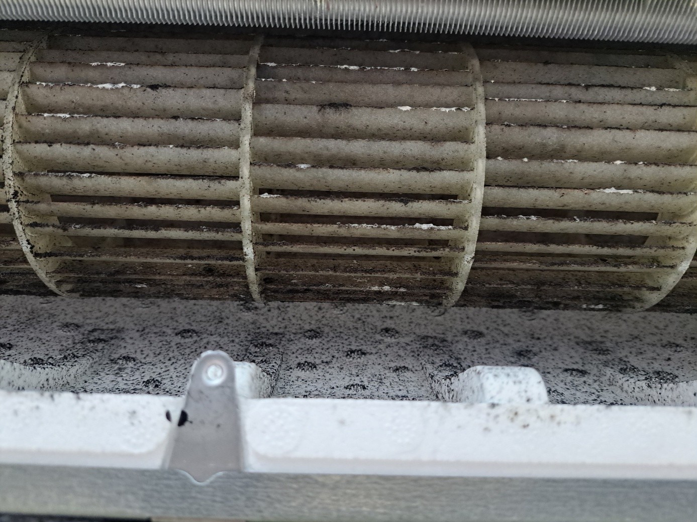 Post image 7