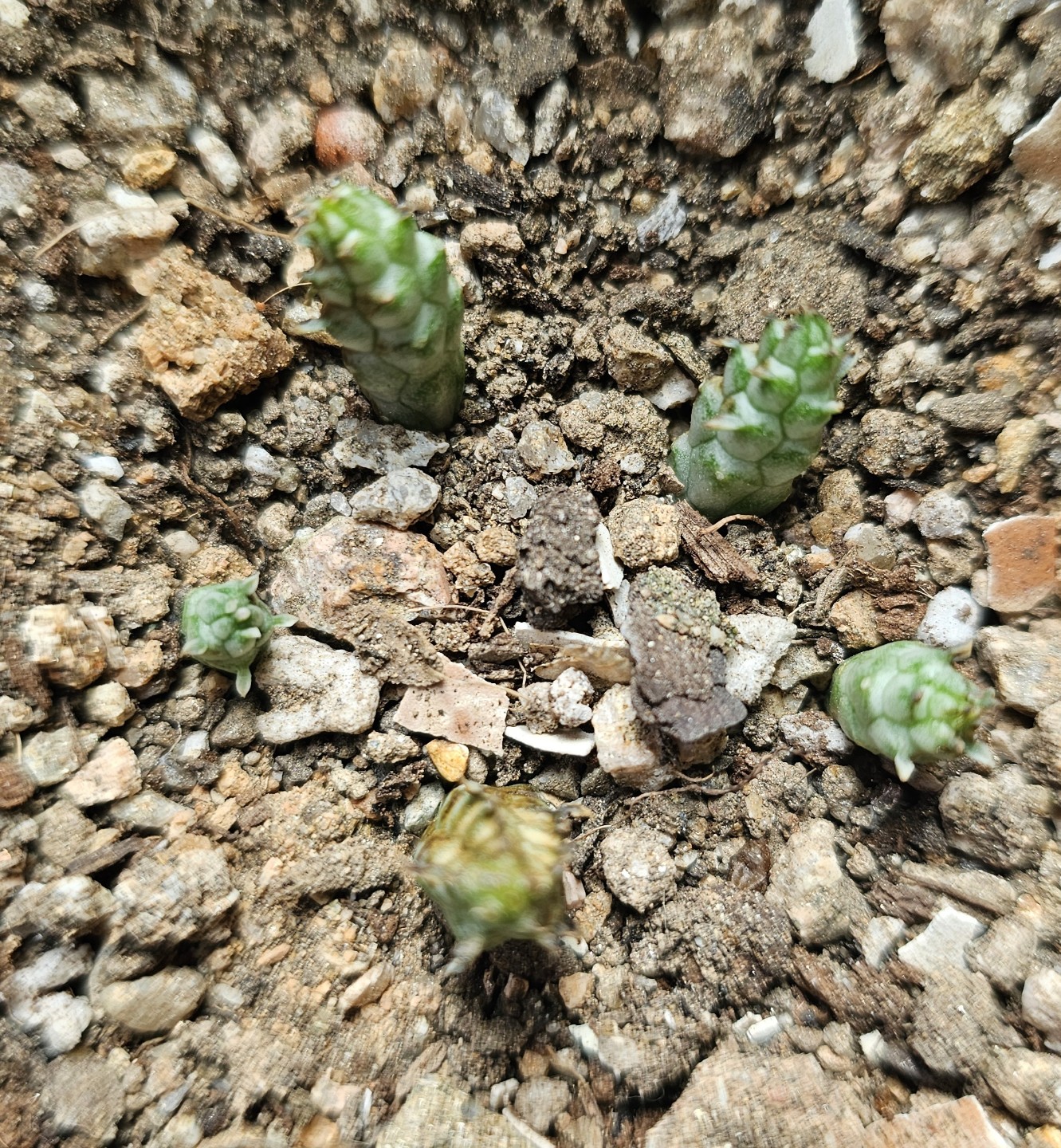 Post image 13