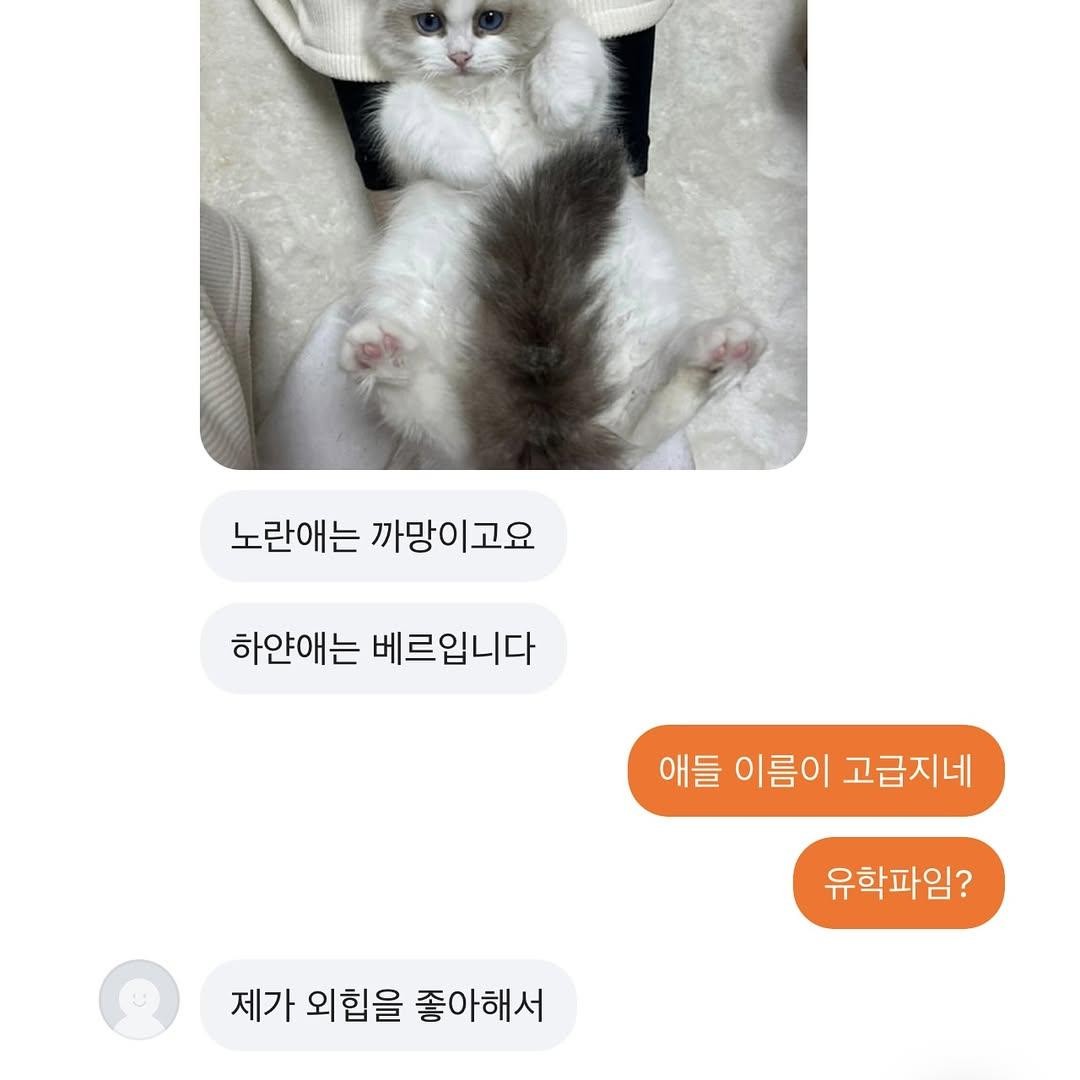 Post image 6