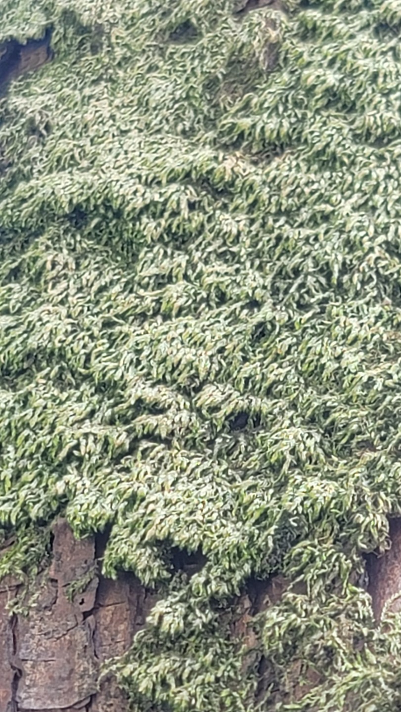 Post image 6