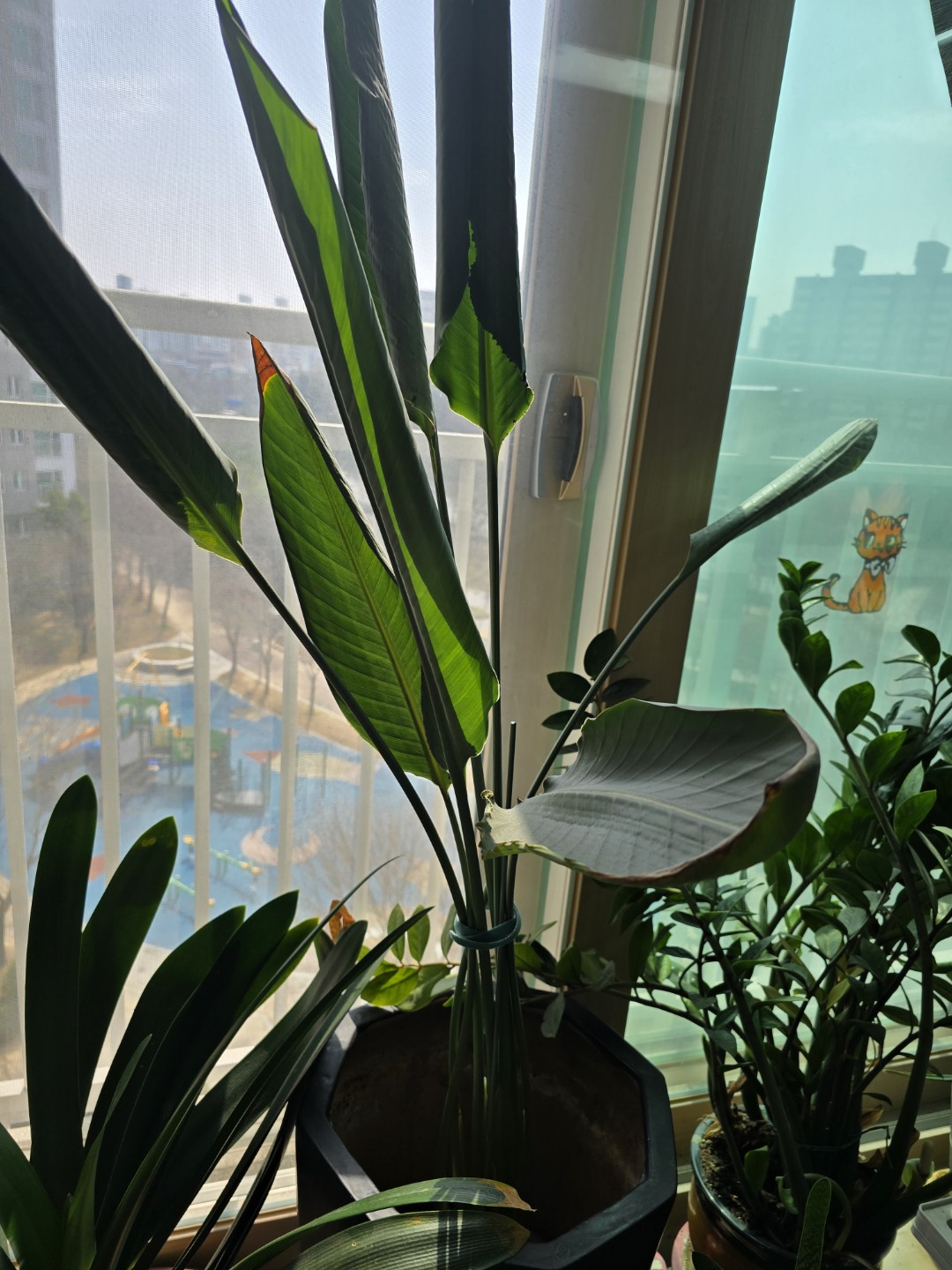 Post image 3