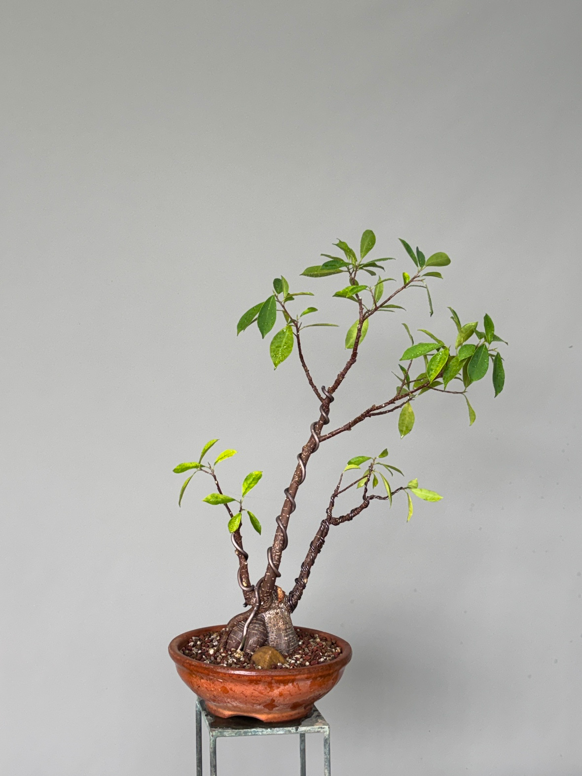 Post image 3