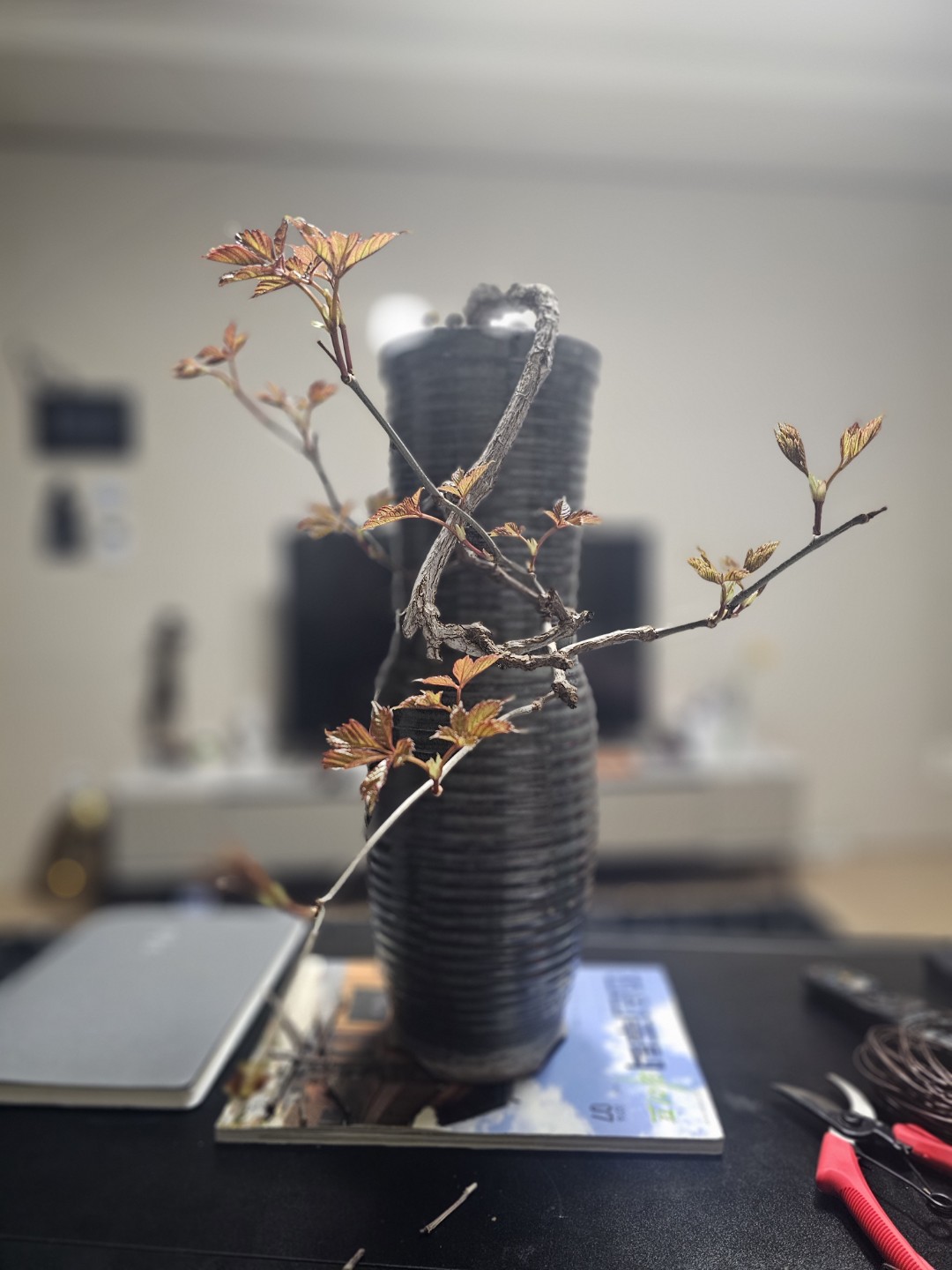 Post image 3