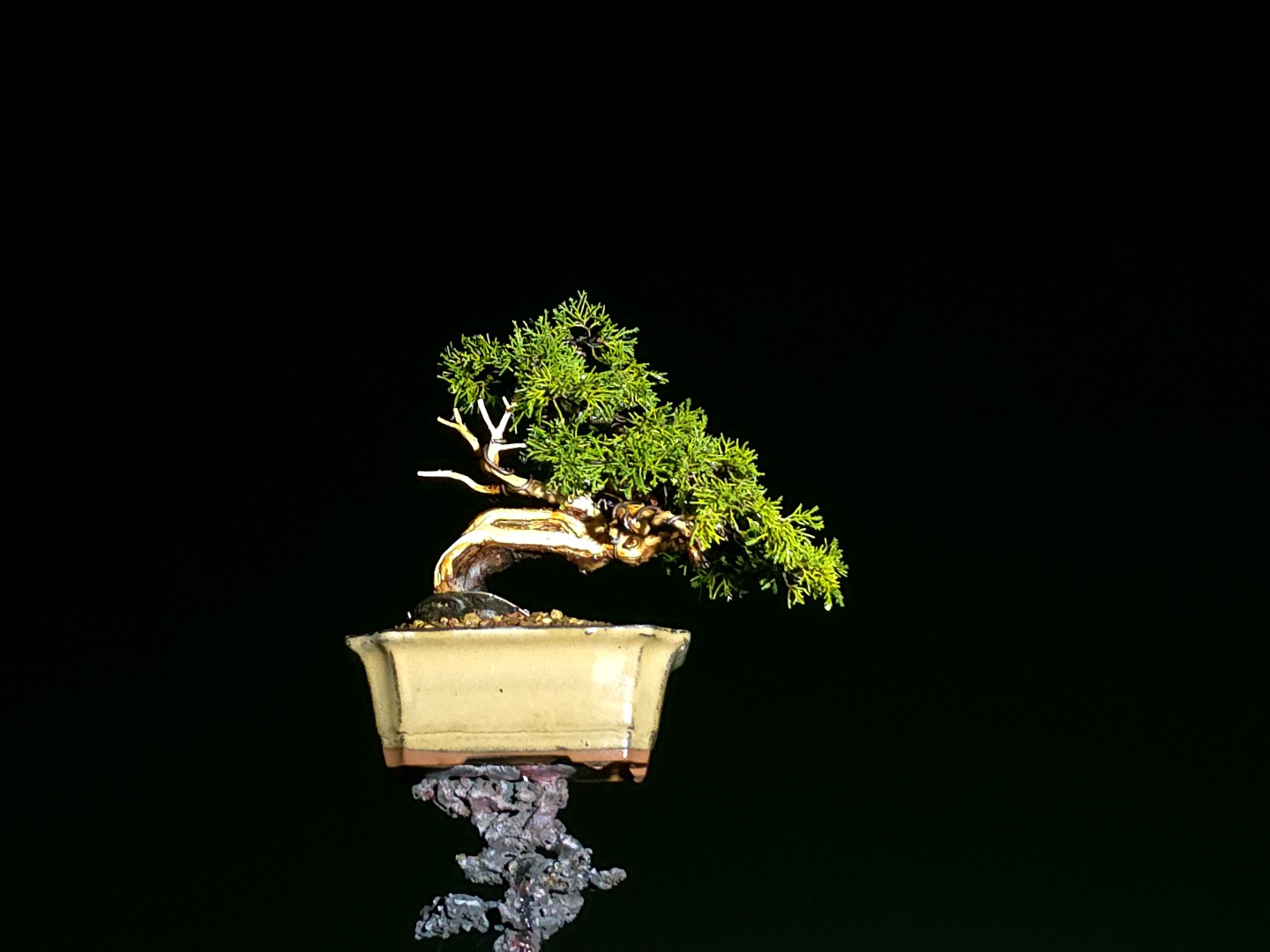 Post image 11